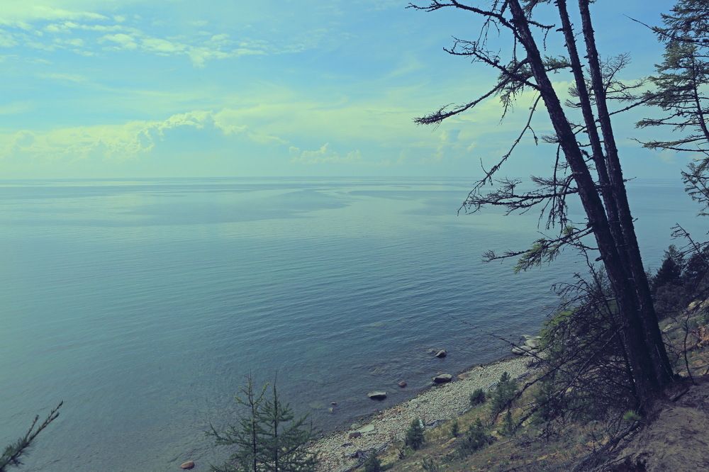 Photograph by Ирина Сушко