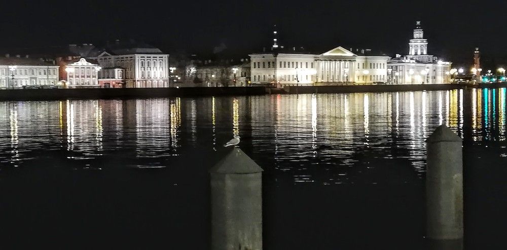 Photograph by Лариса Неудачина