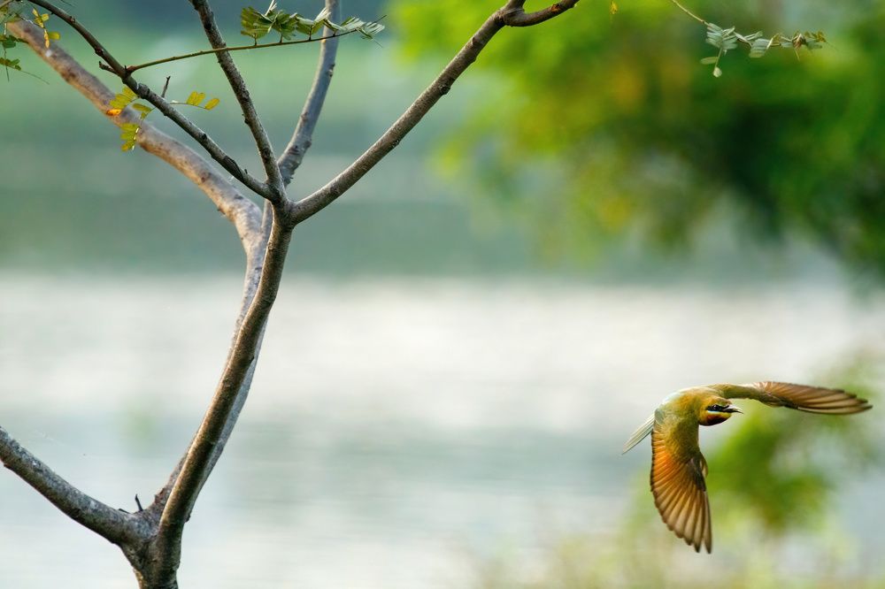 Photograph by Kadhiravan