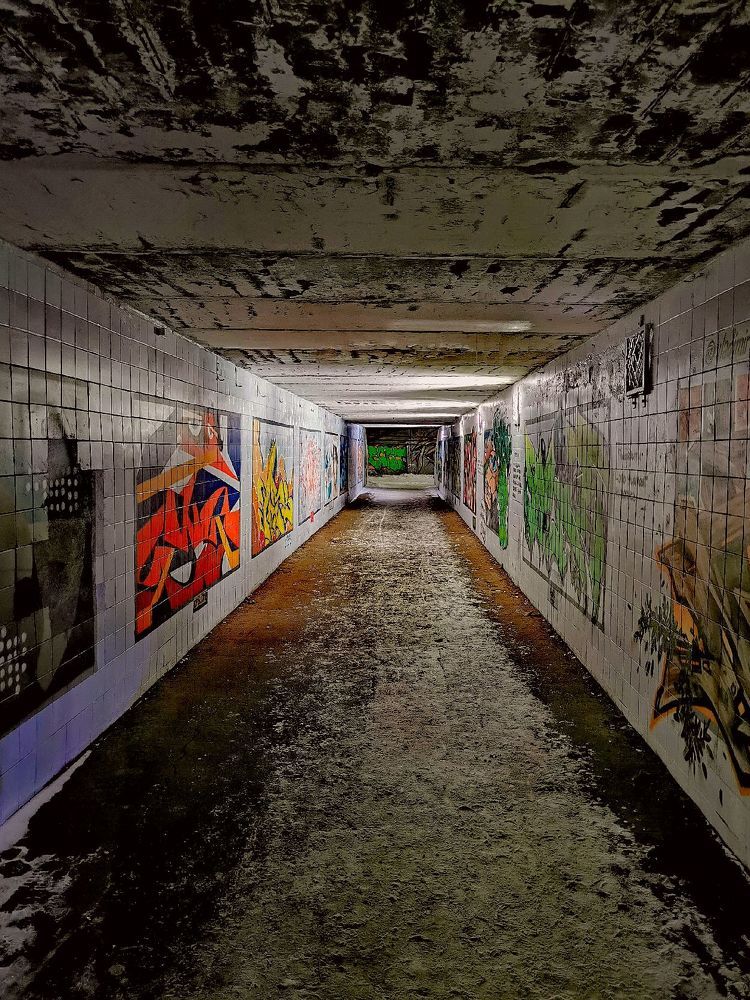 Фотография автора Андрей Богданов