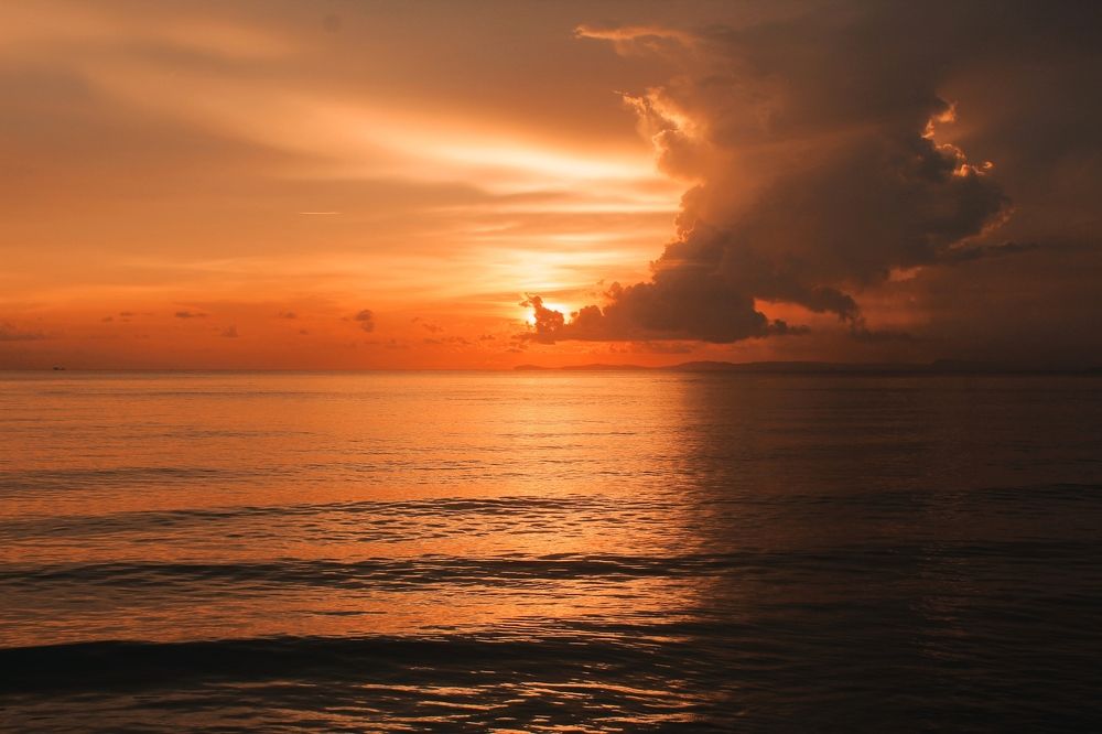 Фотография автора Foto