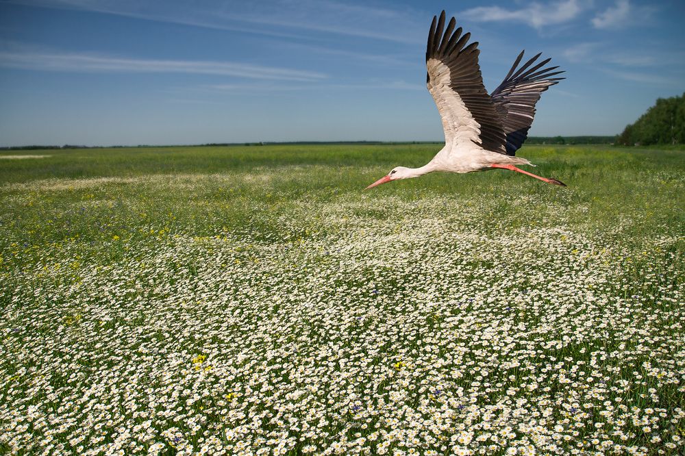 Photograph by Илья Ермакович