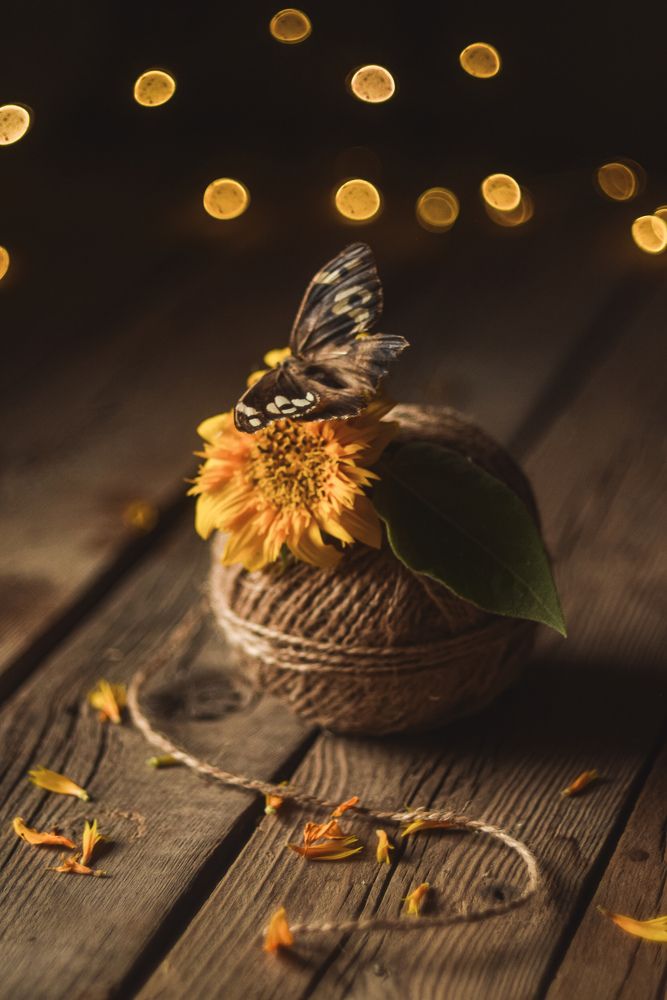 Photograph by Анна Федотова