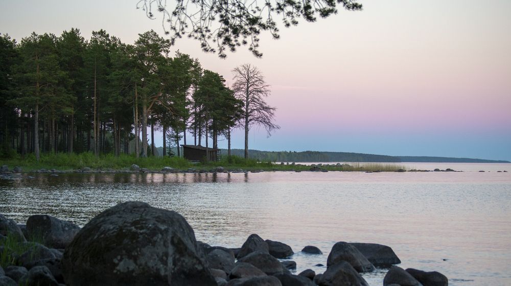 Photograph by Татьяна Решетникова