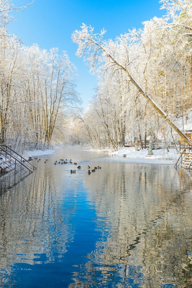 Photograph by Алексей