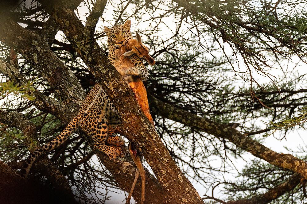 Photograph by Pablo Villota