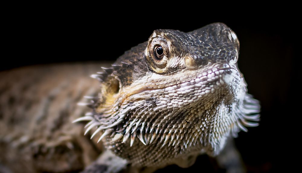 Photograph by Rihards Misāns