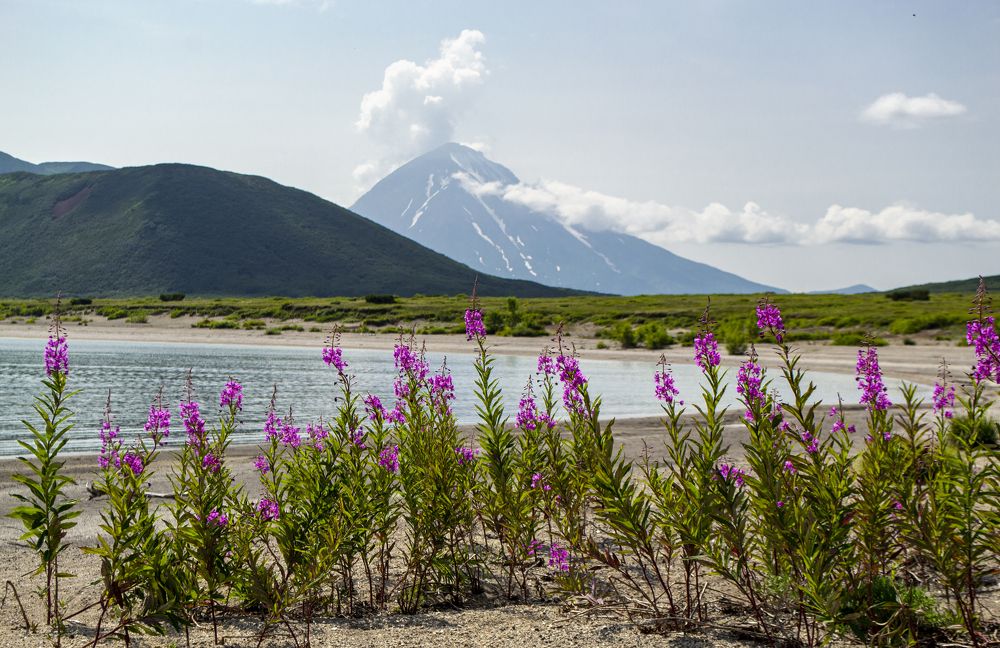 Photograph by Татьяна Решетникова