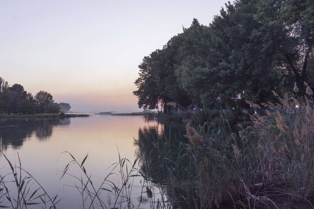 Photograph by Мария Фадеичева