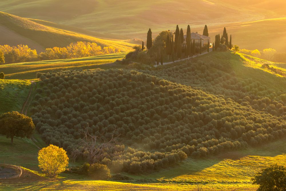 Photograph by Евгения Чех