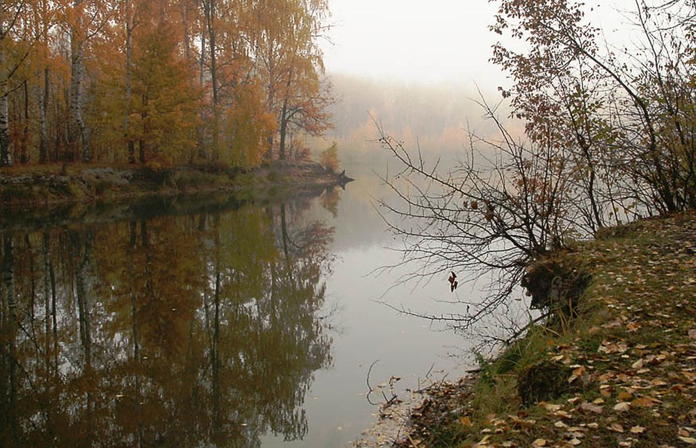 Photograph by Ирина Архипова