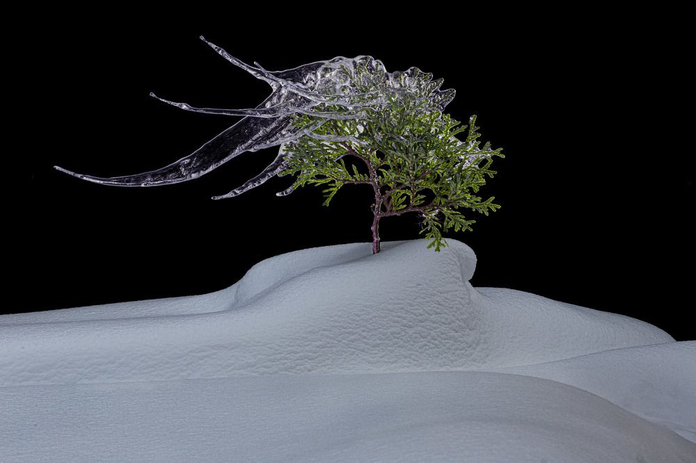 Фотография автора Черновол Валентин