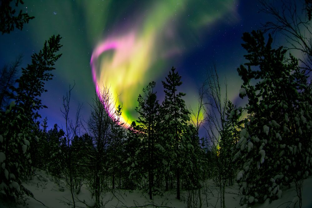 Photograph by Александр Слепцов