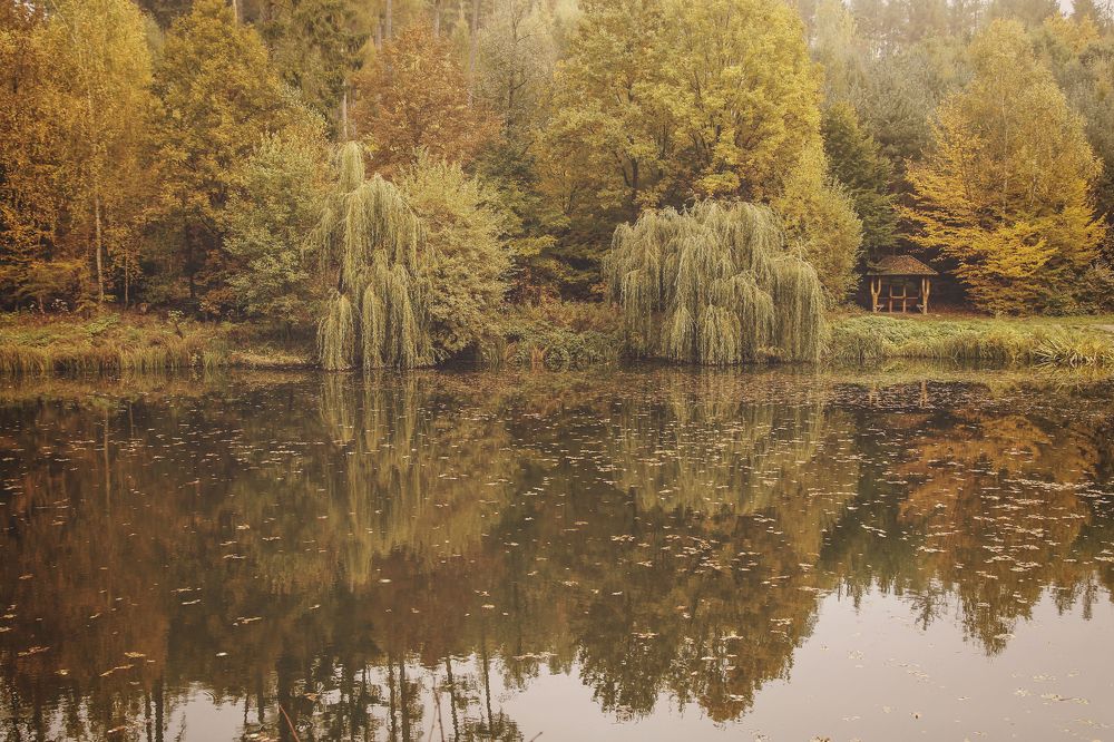 Photograph by Gabriela Ottova