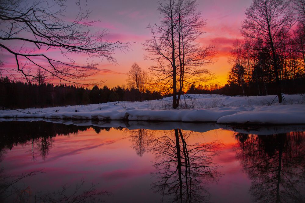 Photograph by andrei zorin