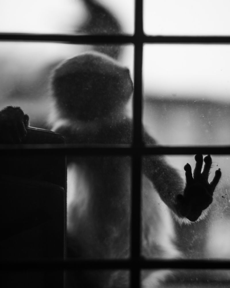 Photograph by Денис Решетников