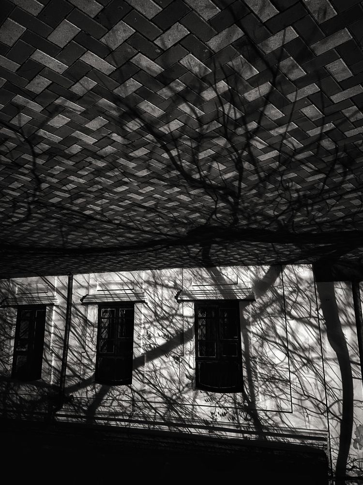 Photograph by Роман Крутов