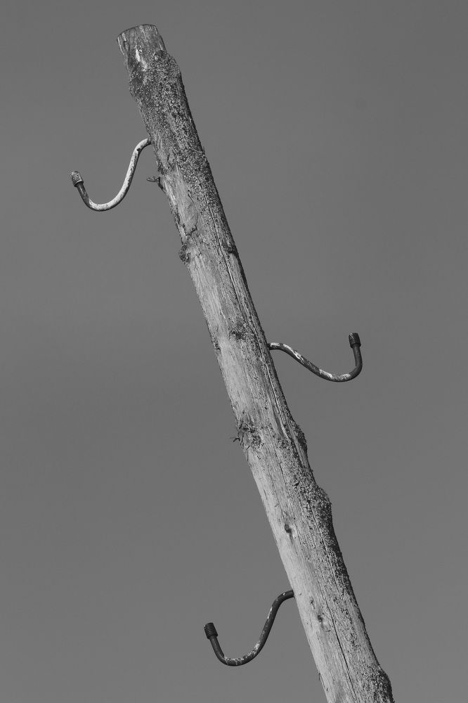 Фотография автора Елена Колосова