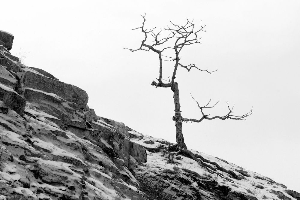 Фотография автора Елена Колосова