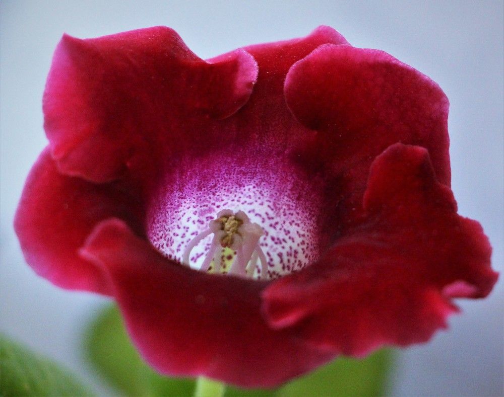 Photograph by Людмила Бутова