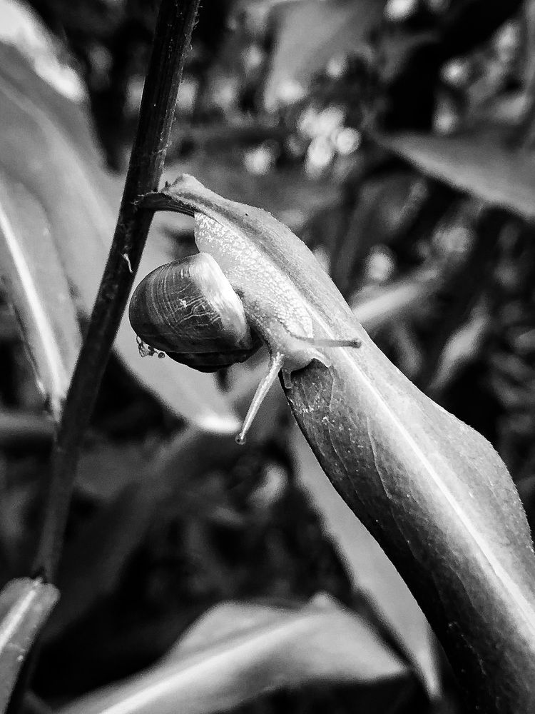 Photograph by Игнат Щеглов