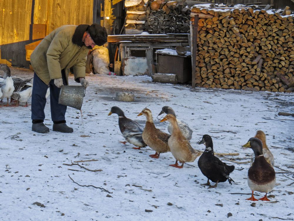 Photograph by Нина Будникова