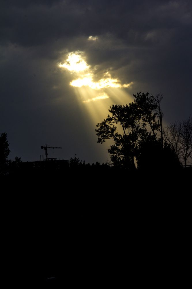 Photograph by behzad homayouninejad