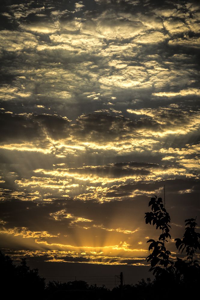 Photograph by behzad homayouninejad