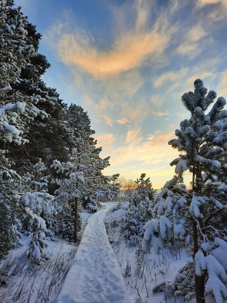 Visiting a fairy tale