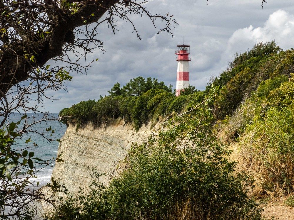 Photograph by mikhail goryachev