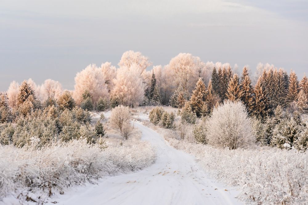 Photograph by Олег Буторин