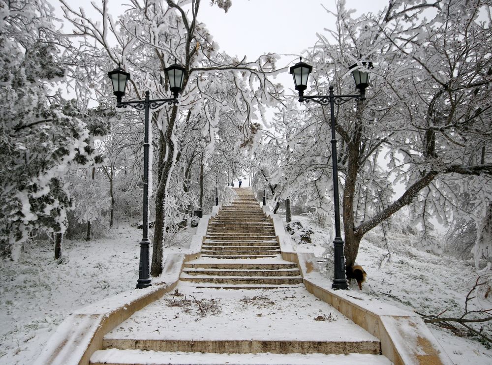 Photograph by Игорь Куленко