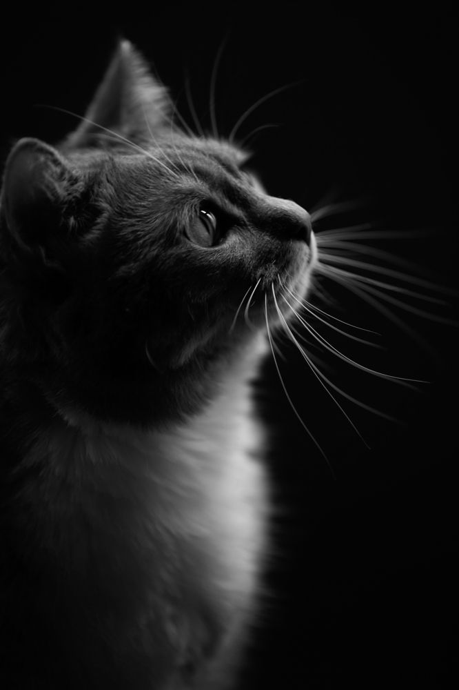 Photograph by Виктория Сивакова