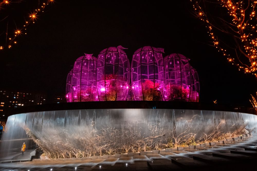 Photograph by EKATERINA WALTER