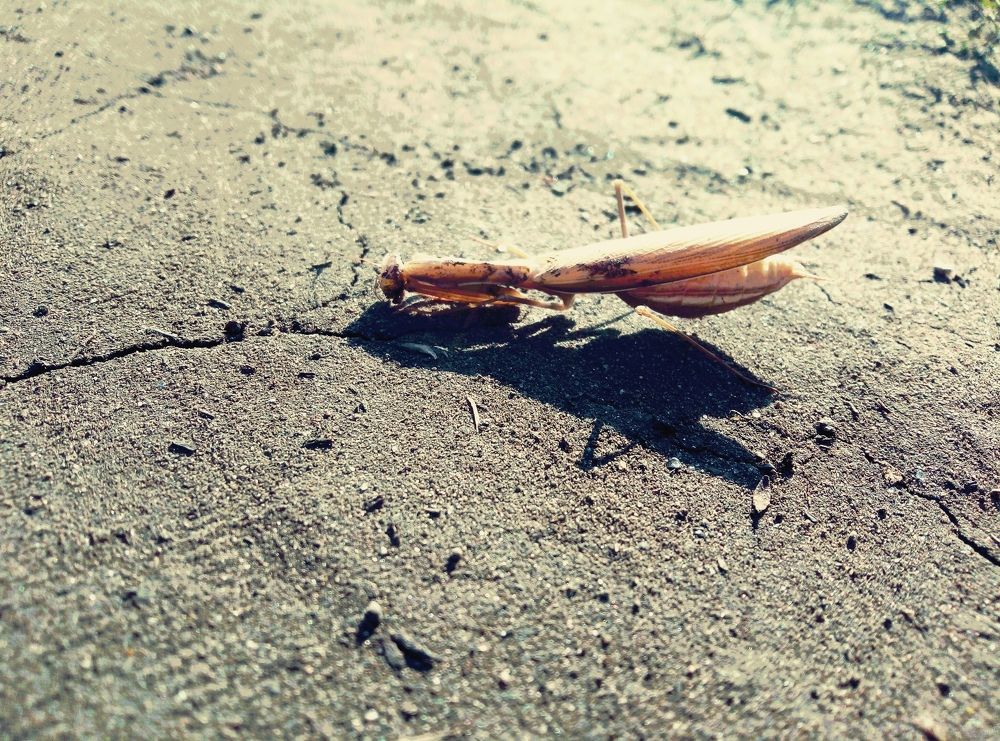 Photograph by Федоренко Элеонора