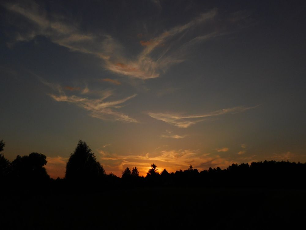 Photograph by Алена