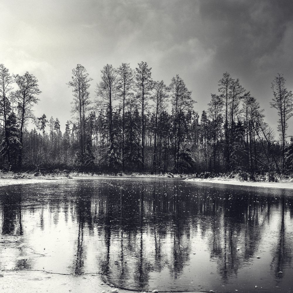 Photograph by Aliaksei Shandalin