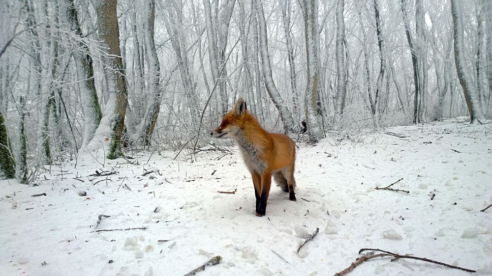 Photograph by Вадим Карпов