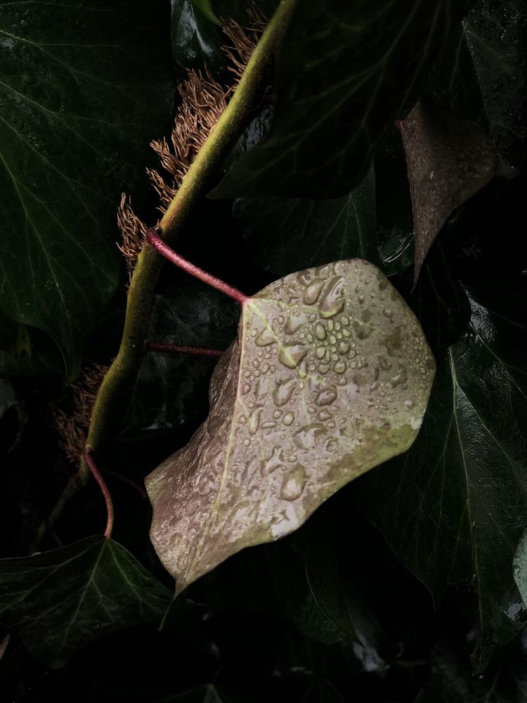 Photograph by Людмила Евстратова