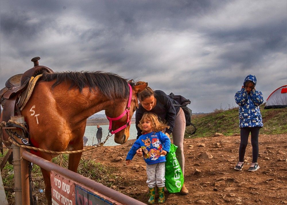 Photograph by Людмила Бутова