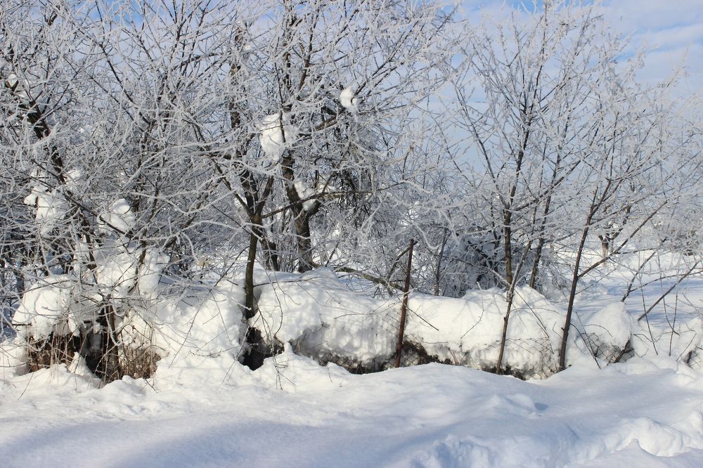 Photograph by Рамиль Давлетбаев