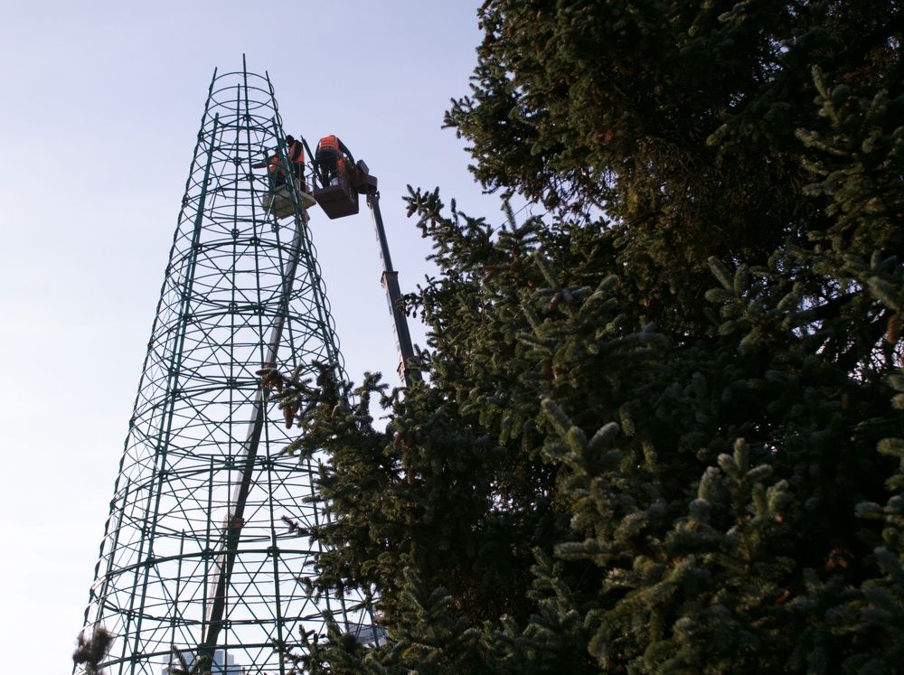 Photograph by Elena Bogomolova