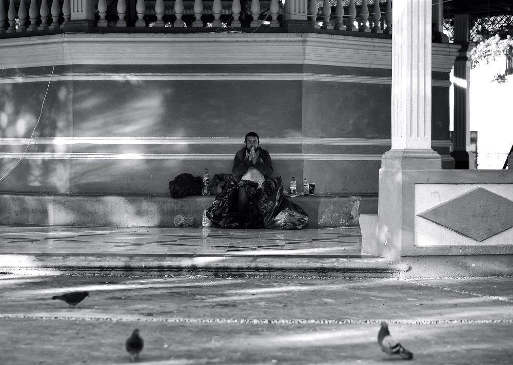 Фотография автора Ольга Дробышева