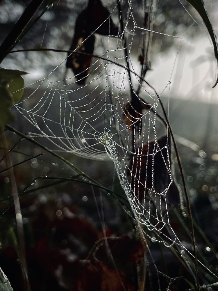 Photograph by Anna Petrov