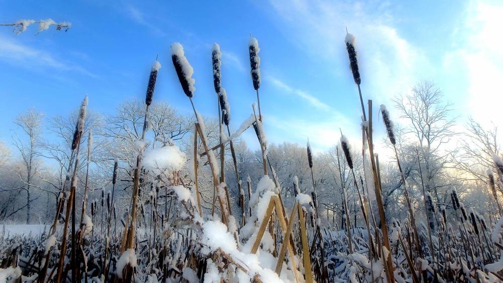 Photograph by Евгений Евдокимов