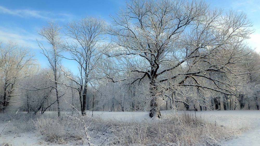 Photograph by Евгений Евдокимов