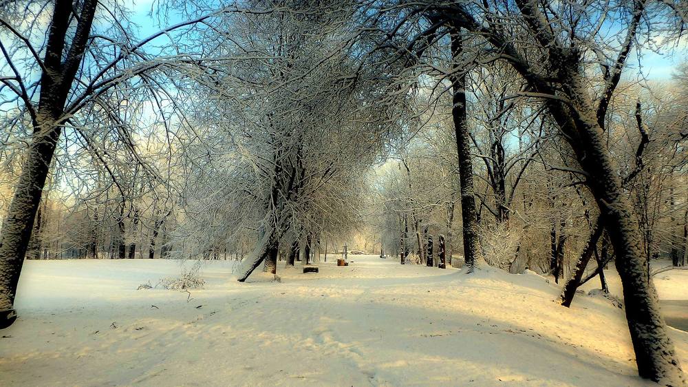 Photograph by Евгений Евдокимов