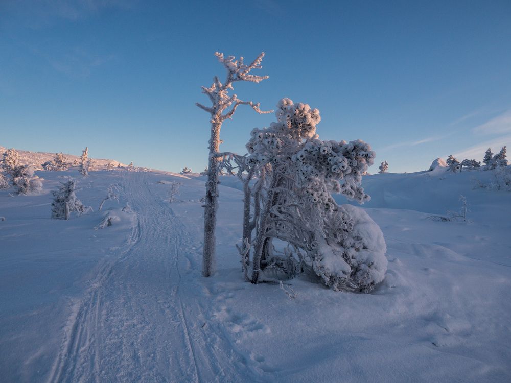 Стой, кто идёт? Остановись, прохожий!