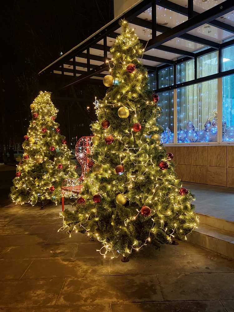 Photograph by  Валентина