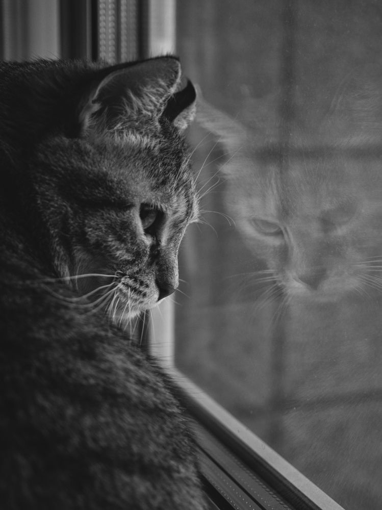 Photograph by Анна Шейко